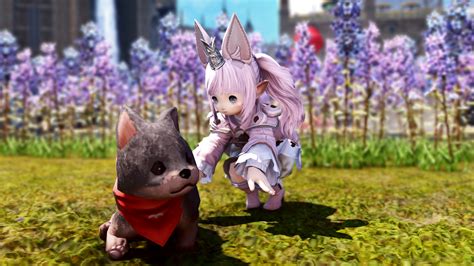 ffxiv pets.